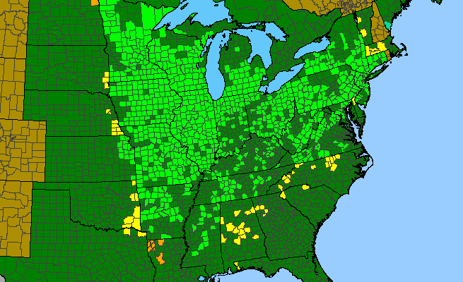 The range of Veronicastrum virginicum